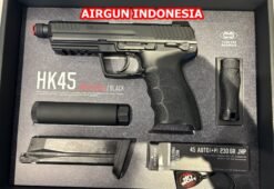 Airsoft Gun
